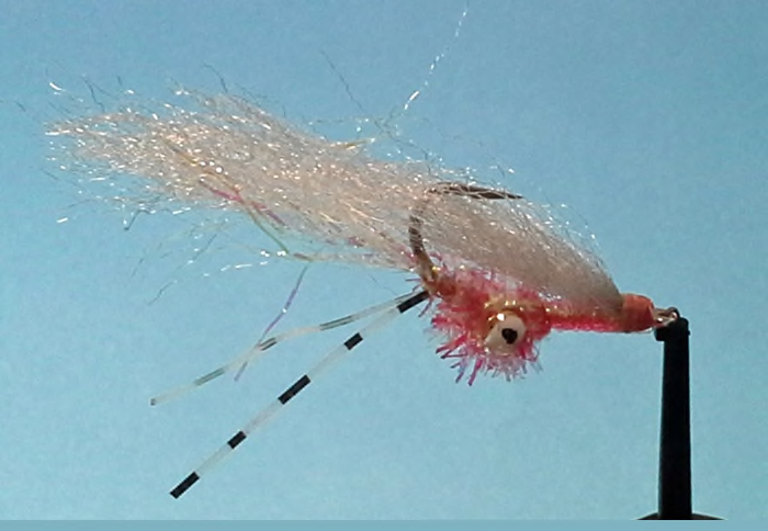 Fed's Bonefish Squimp Variant