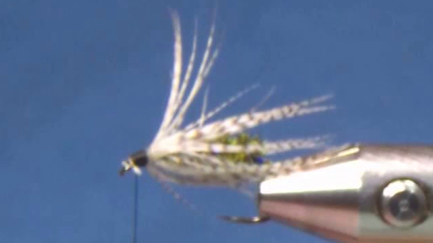 Finished Fed's Last Resort Soft Hackle Variant featuring an Australian Wood Duck hackle collar, peacock herl body, gold wire rib, and golden pheasant tippet tail.
