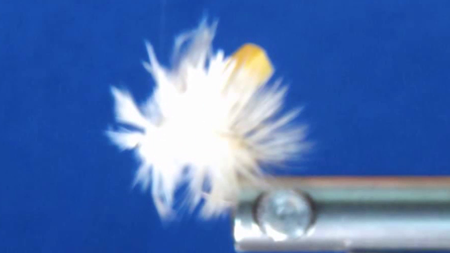 Fluffy base of the white saddle hackle wrapped in a figure-eight around the yellow foam post, with the hackle stem trimmed neatly.
