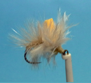 Carp Dry Fly Variant