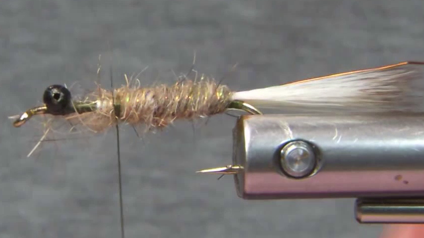 Soft Hackle Swimming Nymph Variant showing the brass wire rib and rust brown possum dubbing forming the body.
