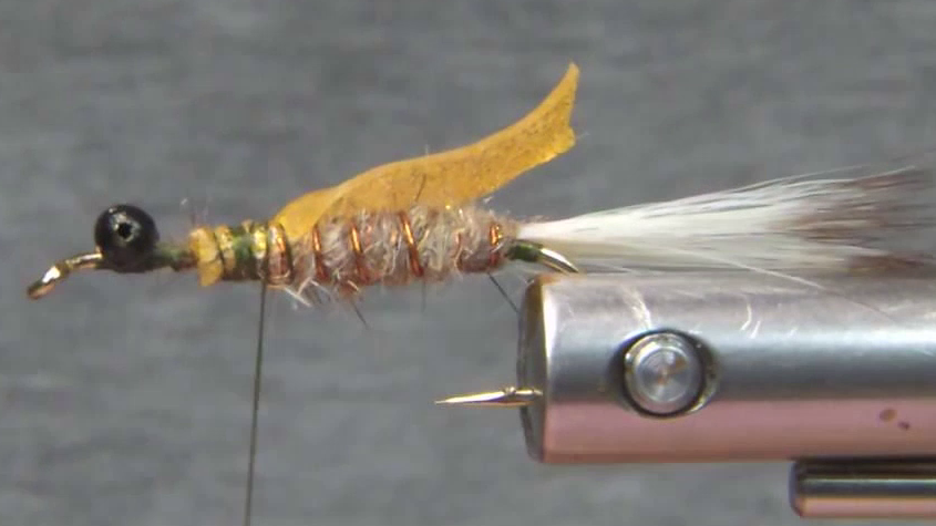 Soft Hackle Swimming Nymph Variant showing the white soft-hackle feather wrapped around the thorax and natural wood duck fibres tied in.
