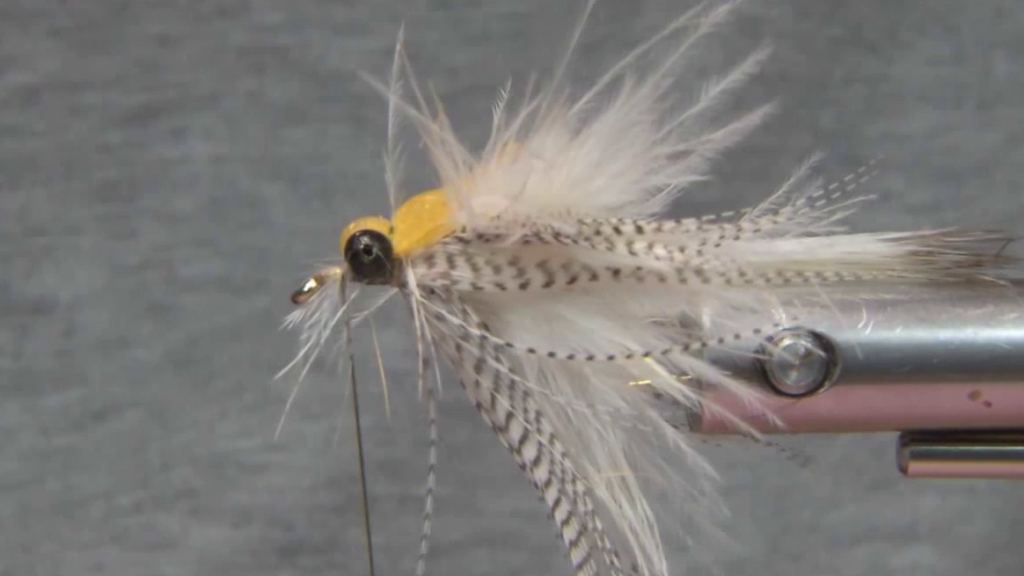 Soft Hackle Swimming Nymph Variant with the Gummy Back folded over the soft hackle and secured behind the bead-chain eyes.