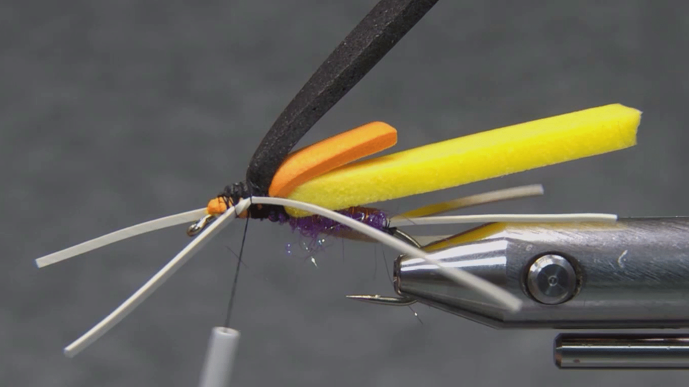 White rubber legs tied on each side and the peacock herl ready for the thorax.