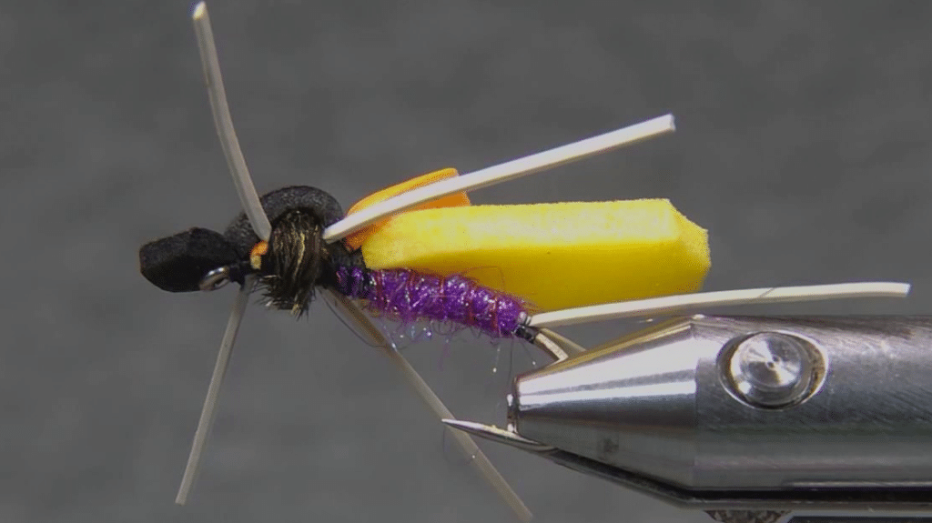 Finished Timber Ant foam fly viewed from below, showing the purple dubbed body, copper rib and rubber-leg tail.