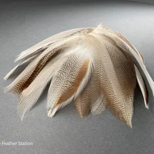 wood duck wing feathers