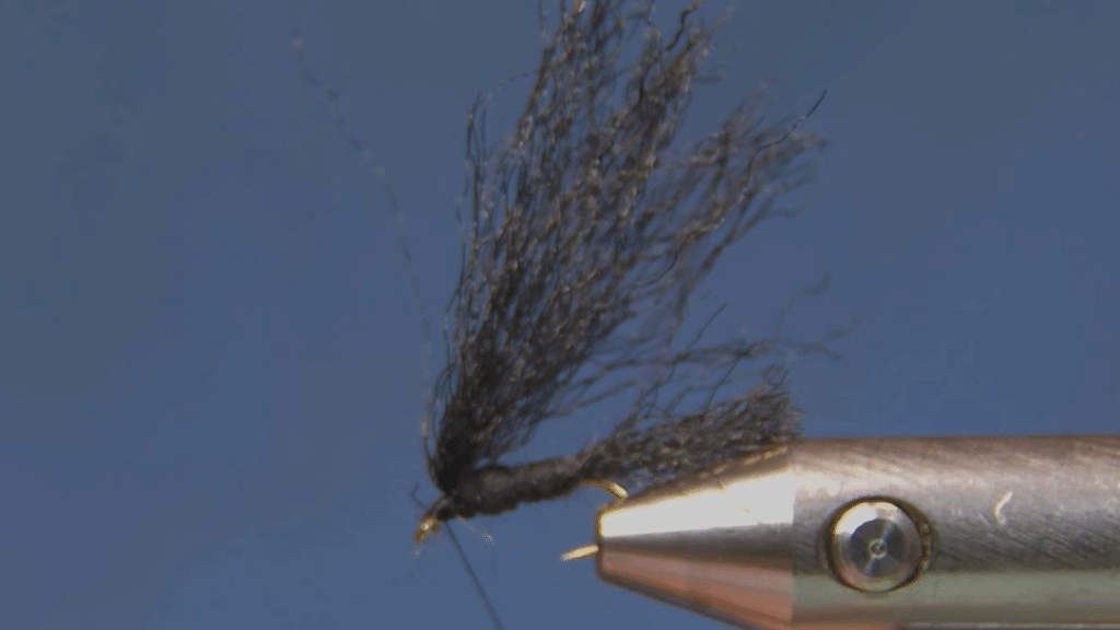 Slim dark dubbing body formed from the Adams Kapok and Black Zelon mix, with the Congo Plus wing folded over the body.
