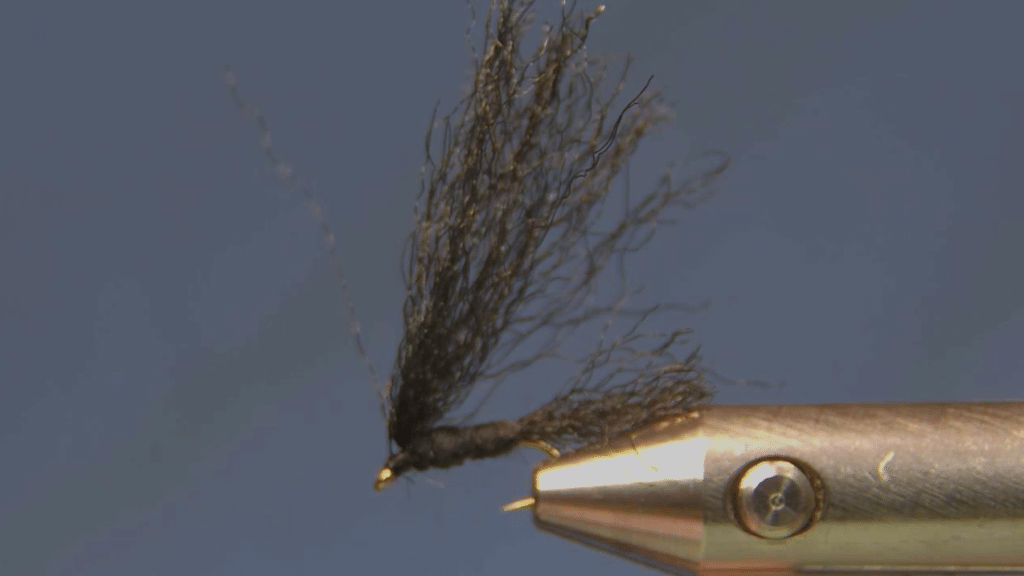 After Step 12: Black Midge Caddis Variant with the wing secured and the thread whip-finished behind the hook eye.