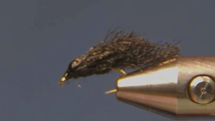 Completed Fed’s Black Midge Caddis Variant, with the Congo Plus wing and tail trimmed to hook-gap length.