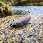 Charcoal Killer Bug