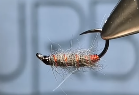 Charcoal Killer Bug with a roughened, shaggy charcoal body