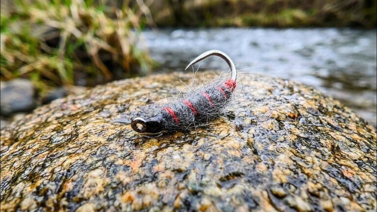 Charcoal Killer Bug