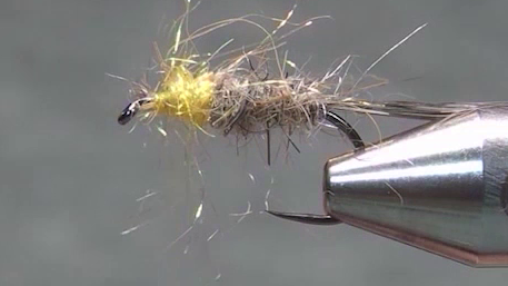 Hare’s Ear fly with the silver wire ribbed over the body and a bright SLF dubbing hot spot added at the front.