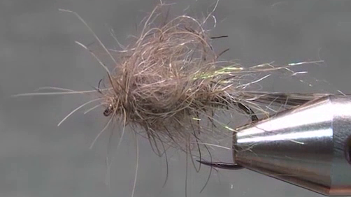 Hare’s Ear fly with a dark Hare’s Ear thorax and a bright dubbing collar being formed at the front.
