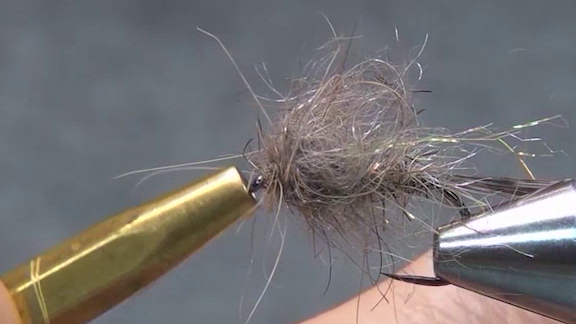 Hare’s Ear fly with the dubbing collar in place as the thread is secured and the fly is being finished.