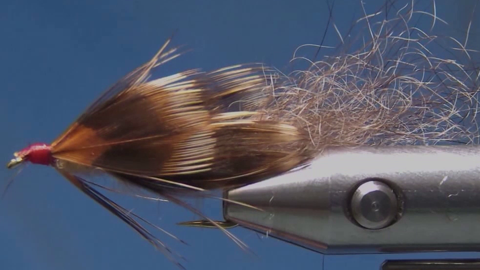 Completed Possum Simpson streamer with red thread head, possum-fur body and four dark feather wings.