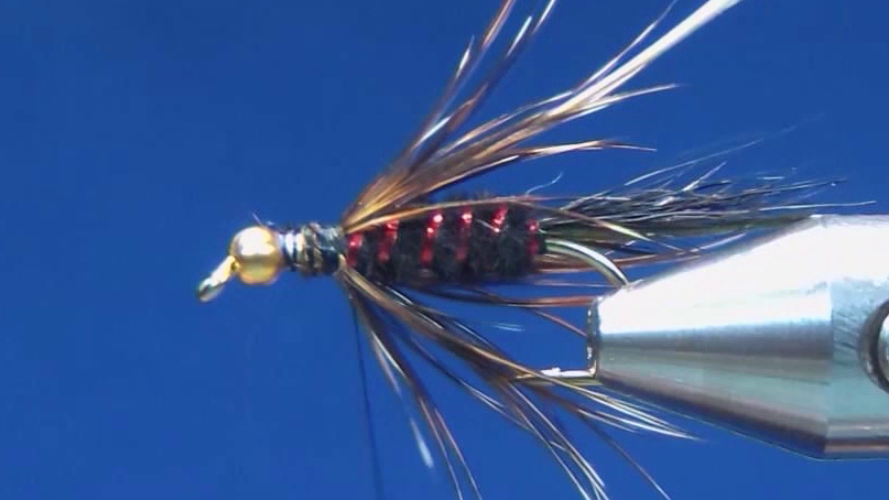Hackle is tied in and wrapped around the fly to add movement and texture.