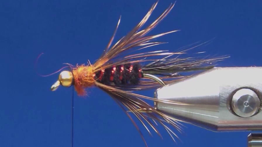 Possum dubbing forms the thorax behind the bead, with the fly whip finished and ready for its protective UV resin coating.