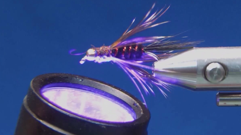 UV resin is applied to the fly's thorax and cured with a UV torch to create a durable, glossy finish.