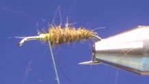 Mr Rapidan Soft Hackle Nymph Variant with the body dubbed halfway along the shank and ribbed with copper wire.