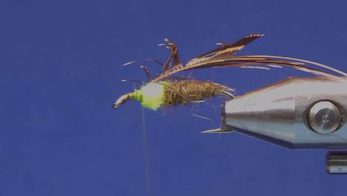 Rapidan Soft Hackle Nymph Variant with the yellow Antron thorax dubbed and soft hackle tied in by the tips.