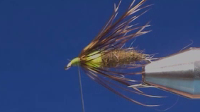 Mr Rapidan Soft Hackle Nymph Variant with the soft hackle collar wrapped and a small thread head formed.