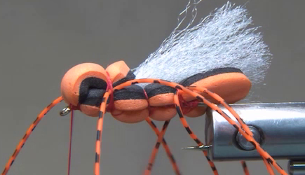 Foam head trimmed and two rubber legs tied in on either side.