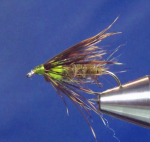 Mr Rapidan Soft Hackle Nymph Variant