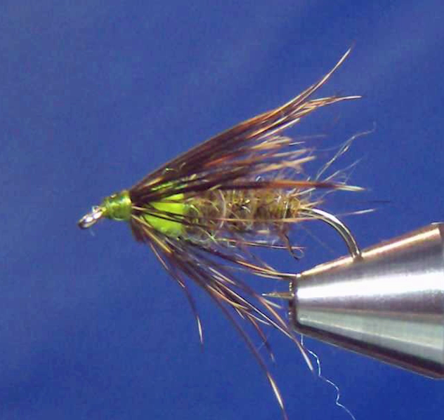 Mr Rapidan Soft Hackle Nymph Variant
